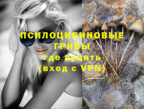 мескалин Бородино