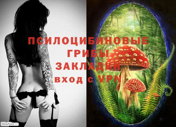 герыч Бронницы