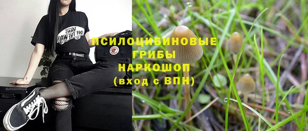 мескалин Бородино