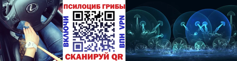 Купить закладки  Осташков  Псилоцибиновые грибы GOLDEN TEACHER 